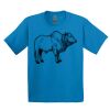 GILDAN® ULTRA COTTON® YOUTH T-SHIRT Thumbnail