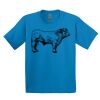 GILDAN® ULTRA COTTON® YOUTH T-SHIRT Thumbnail
